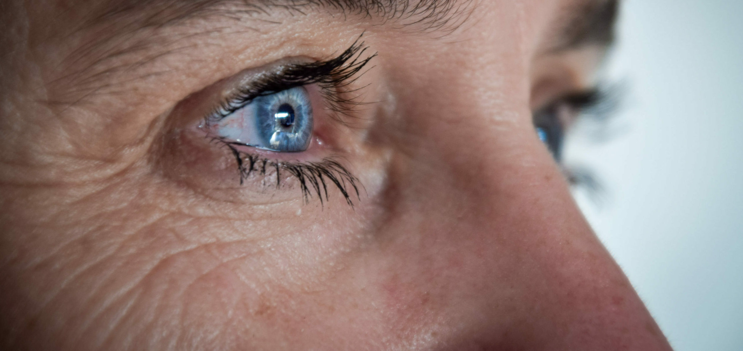 Gros plans yeux bleus